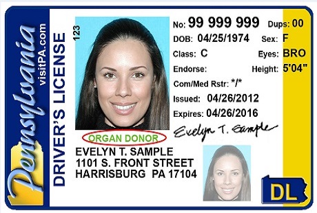 A driver 's license with an organ donor sticker on it.